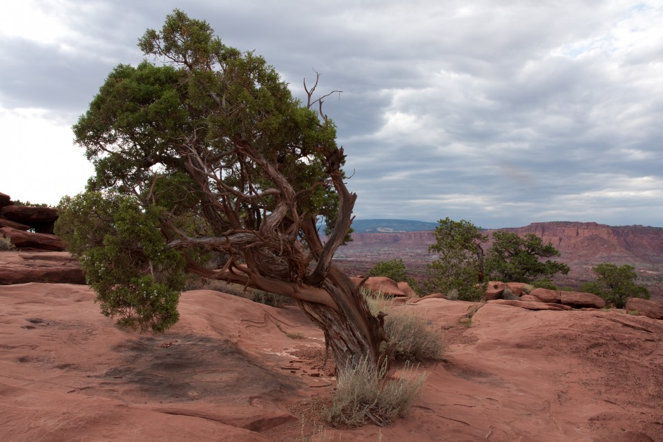 Capitol Reef NP